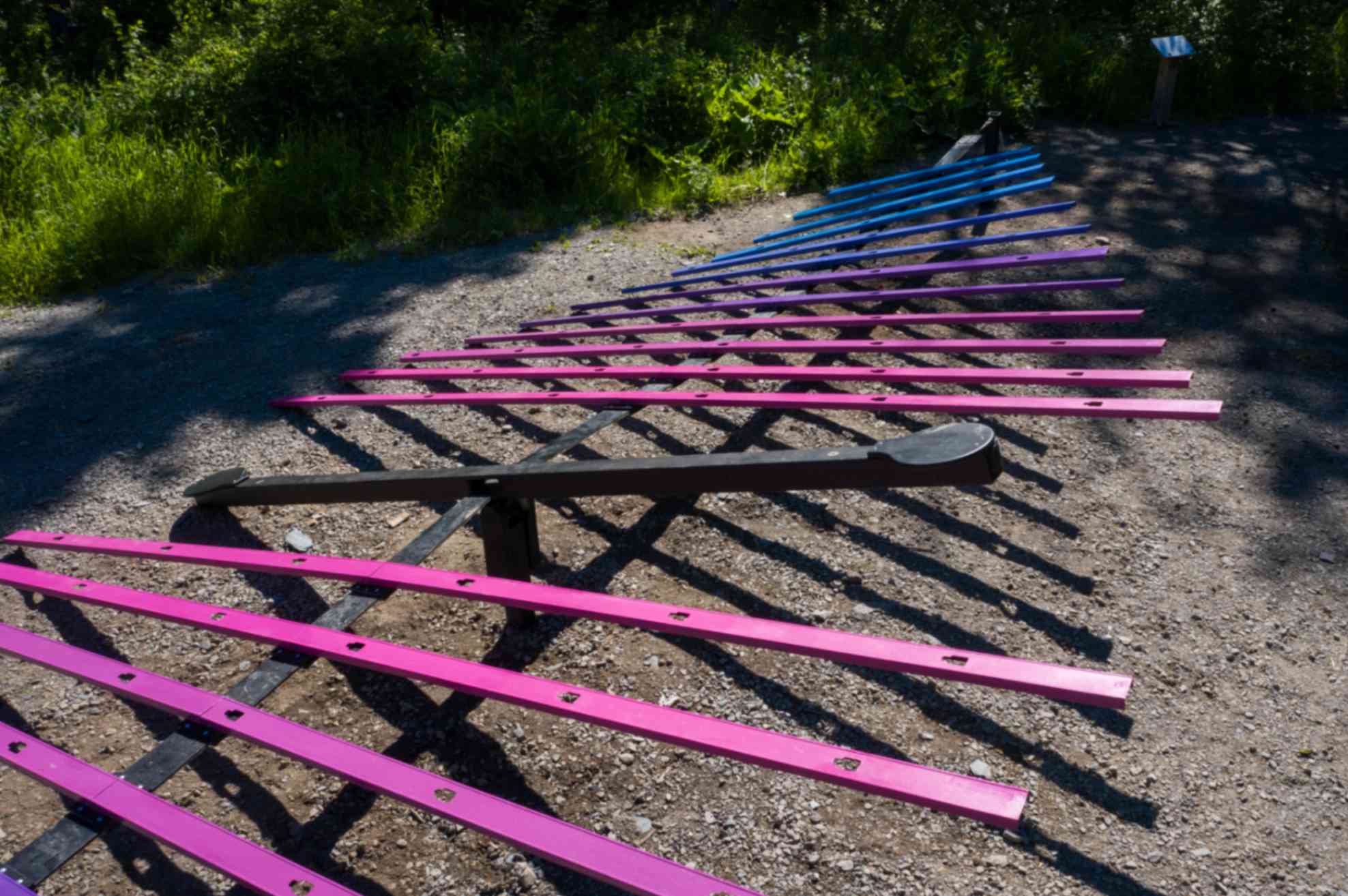 jpeg-optimizer_DJI_0081