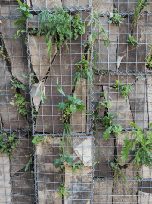 jpeg-optimizer_Screen Shot 2024-03-13 at 10.18.02 PM