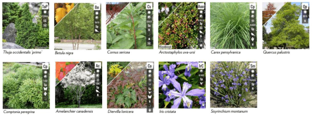 jpeg-optimizer_Screen Shot 2024-03-13 at 10.19.33 PM