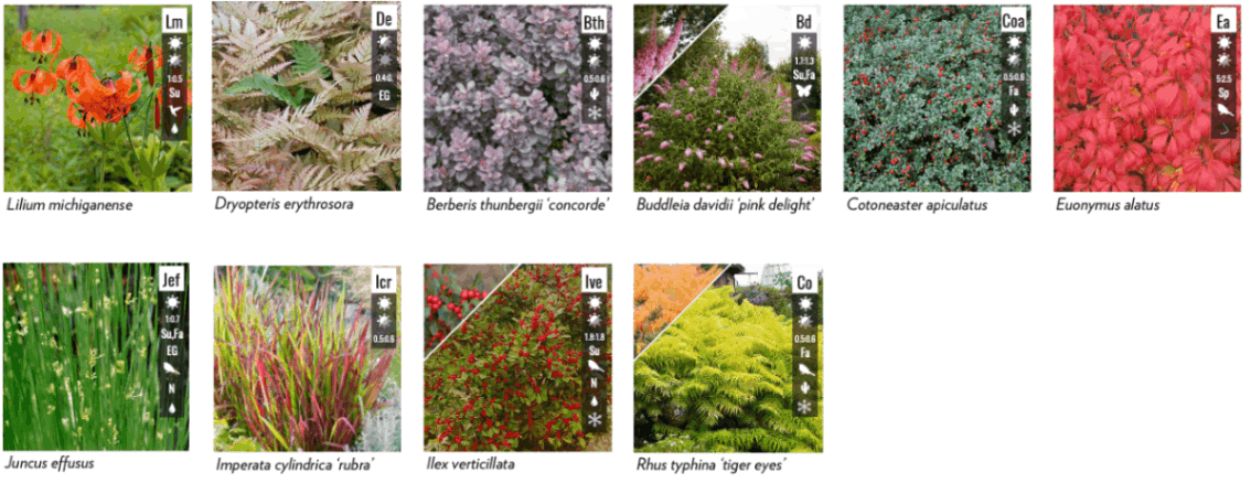 jpeg-optimizer_Screen Shot 2024-03-13 at 10.19.39 PM