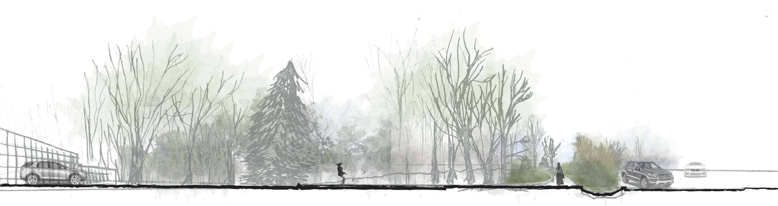 jpeg-optimizer_1 - flattened