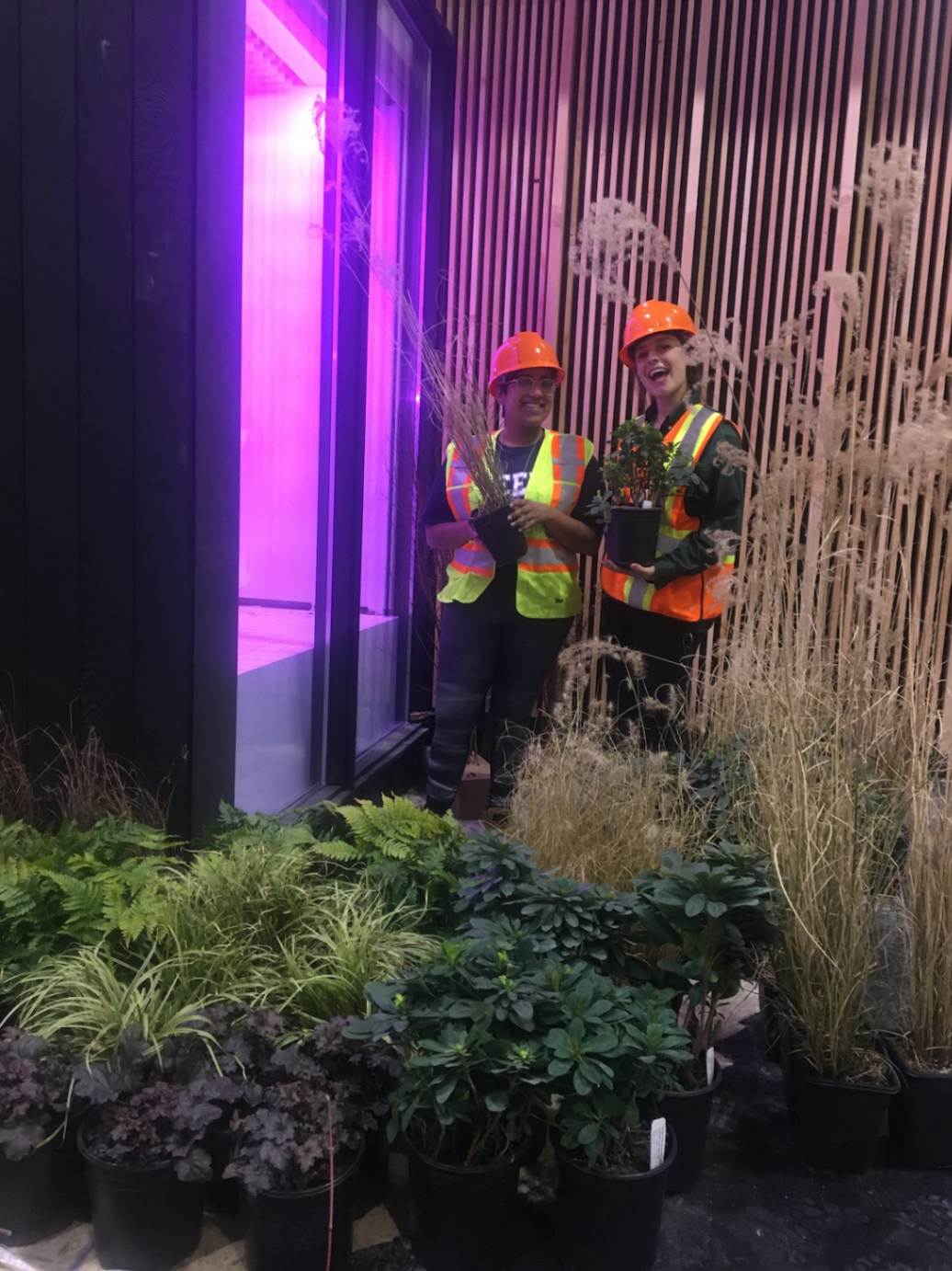 jpeg-optimizer_10_Reset Home