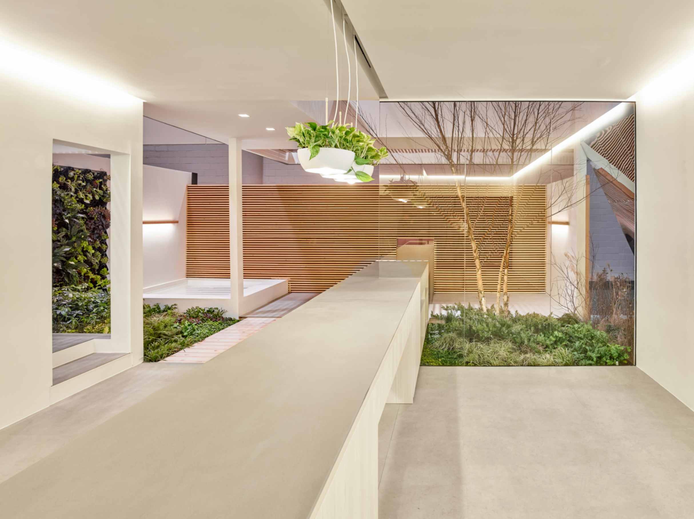 jpeg-optimizer_12_Reset Home