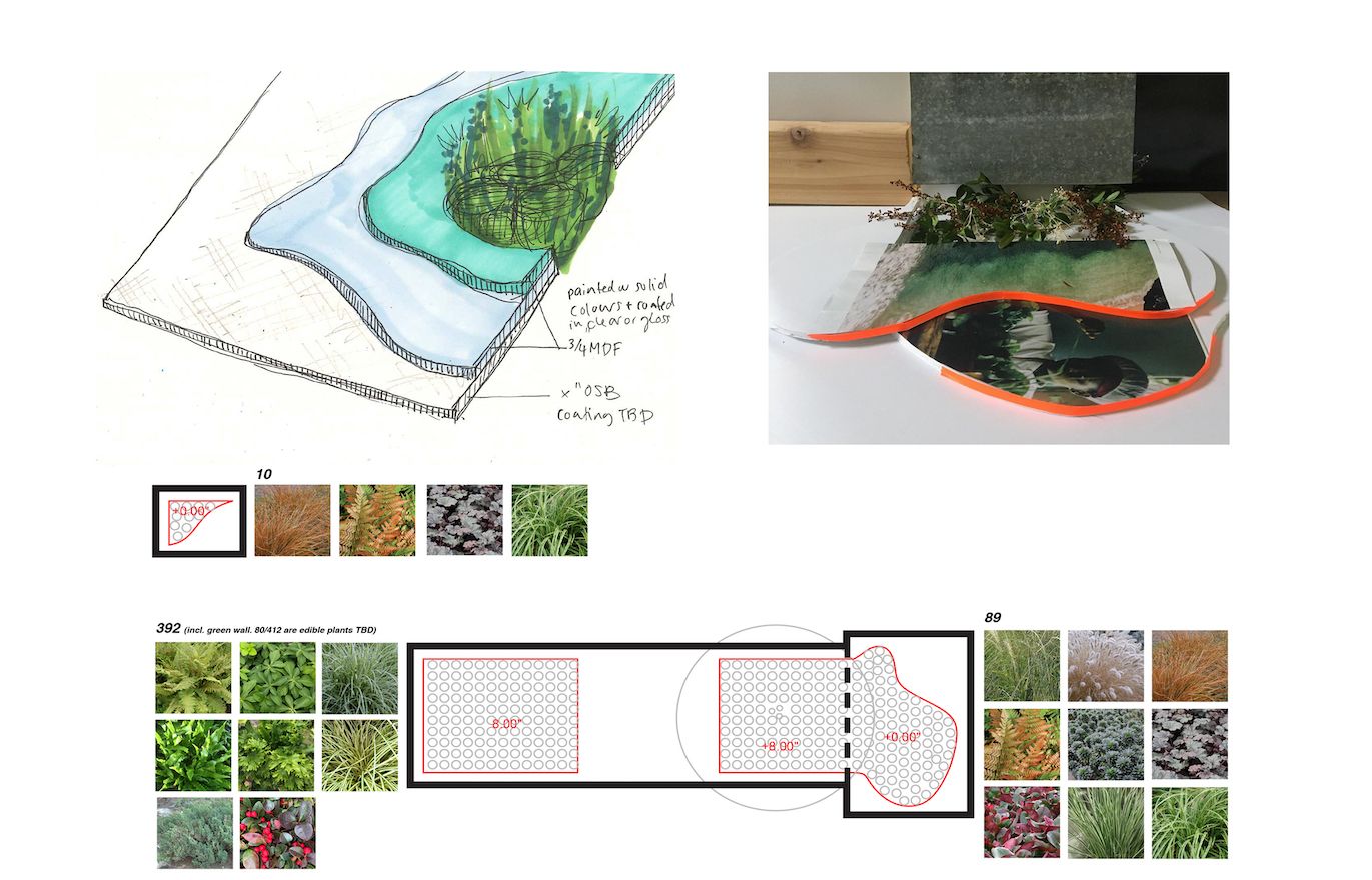 jpeg-optimizer_14_Reset Home