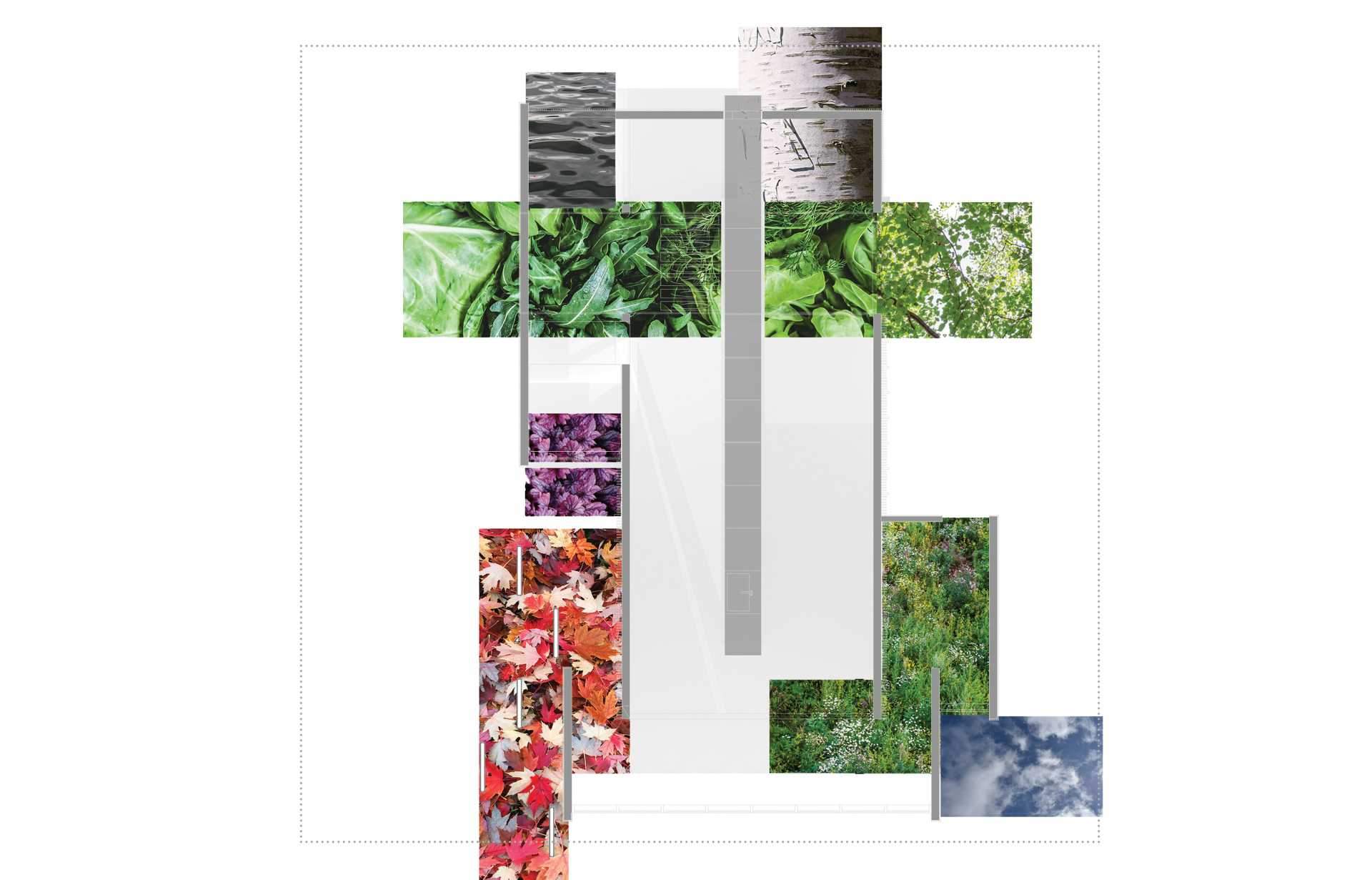 jpeg-optimizer_16_Reset Home