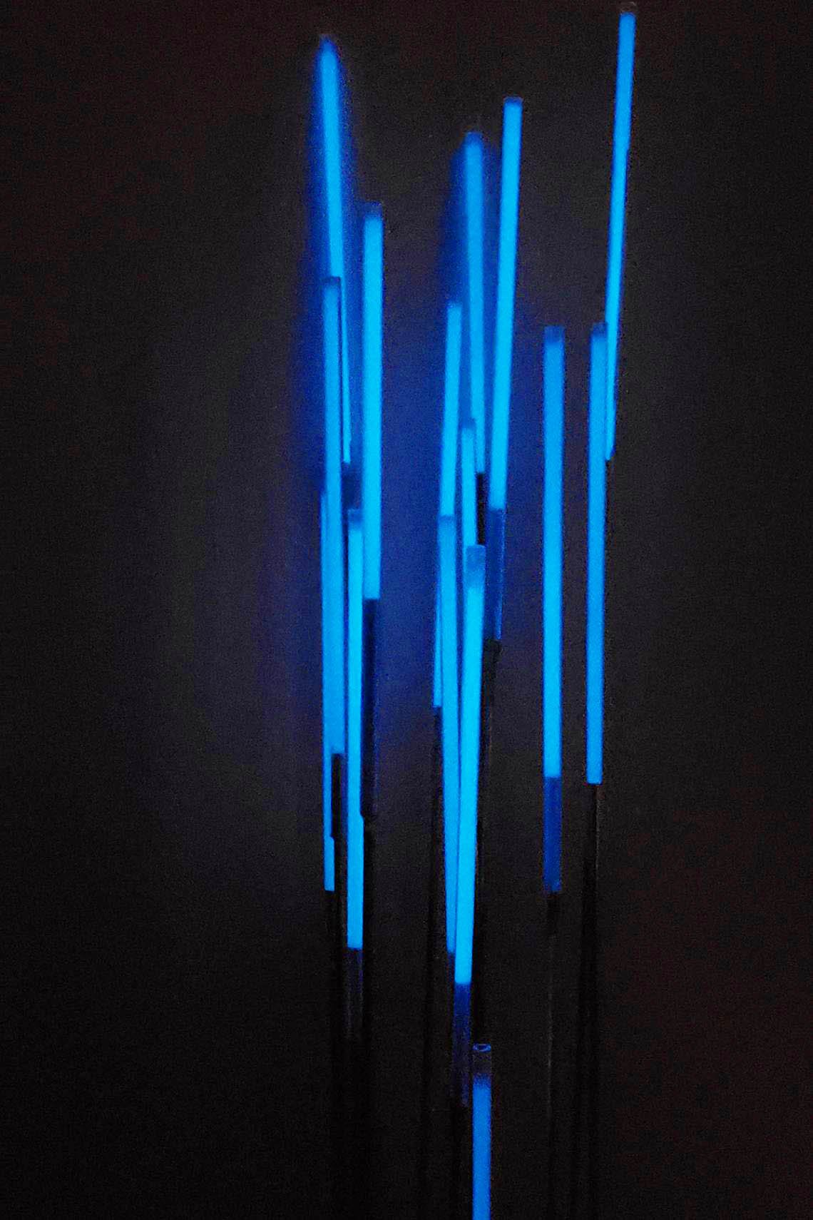 jpeg-optimizer_1_Inflorescence copy