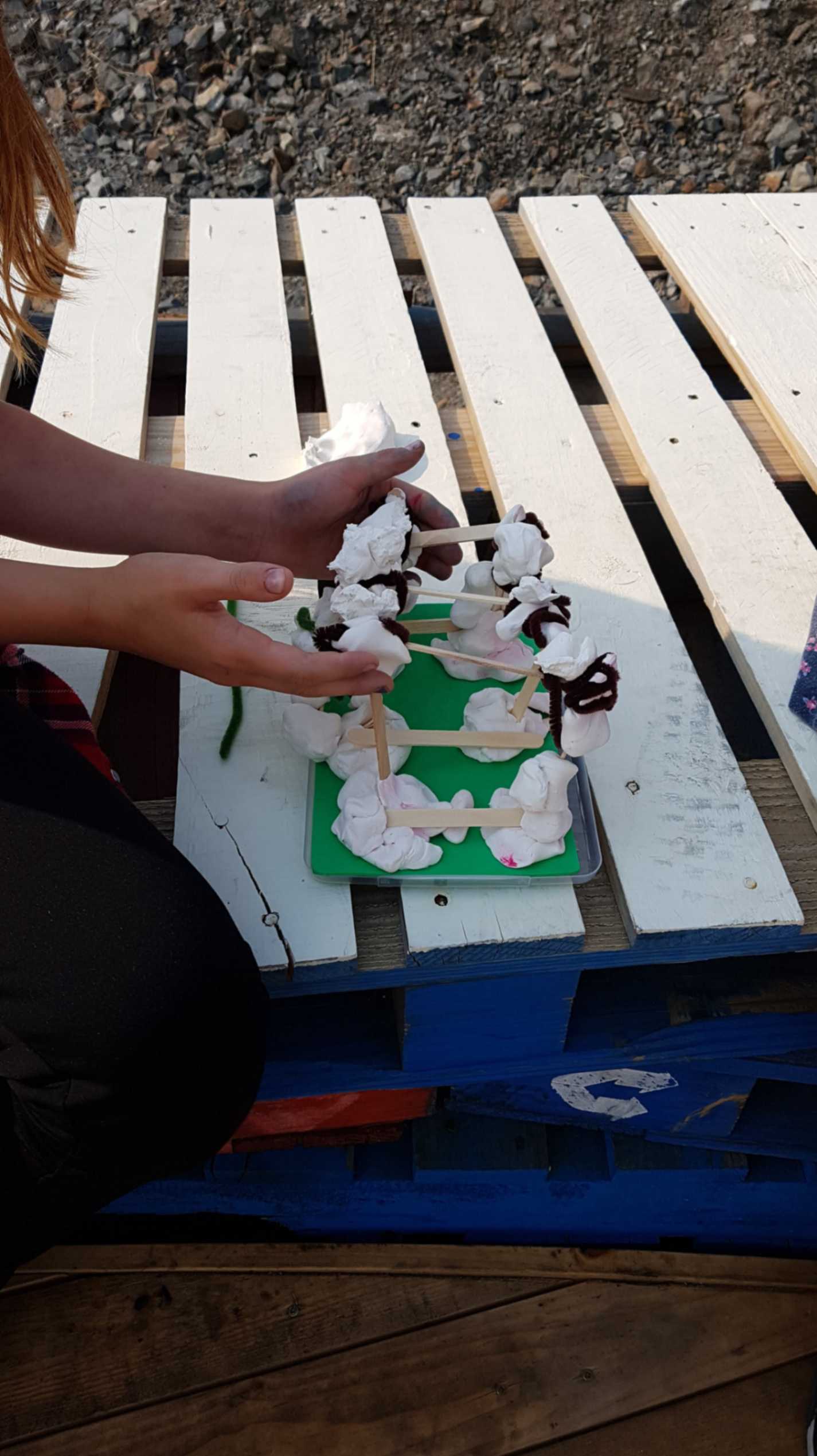 jpeg-optimizer_2_AFTER - Pallet Public Square 7