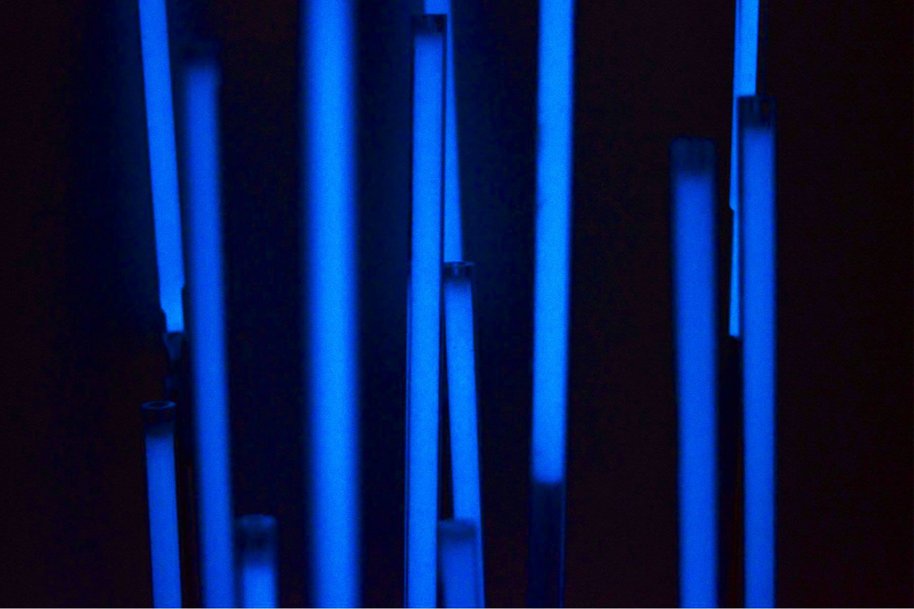 jpeg-optimizer_2_Inflorescence copy