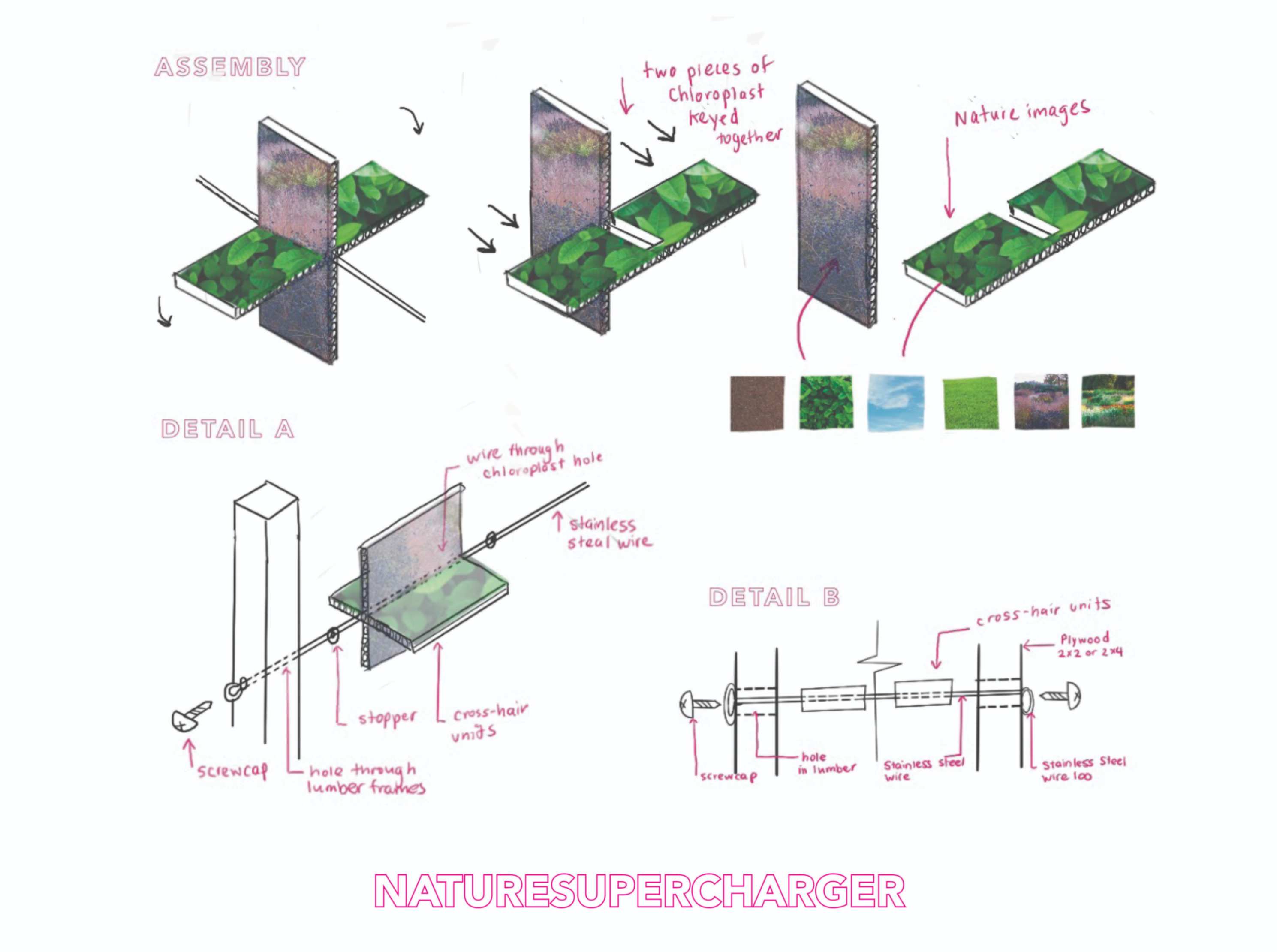 jpeg-optimizer_2_NatureSupercharger