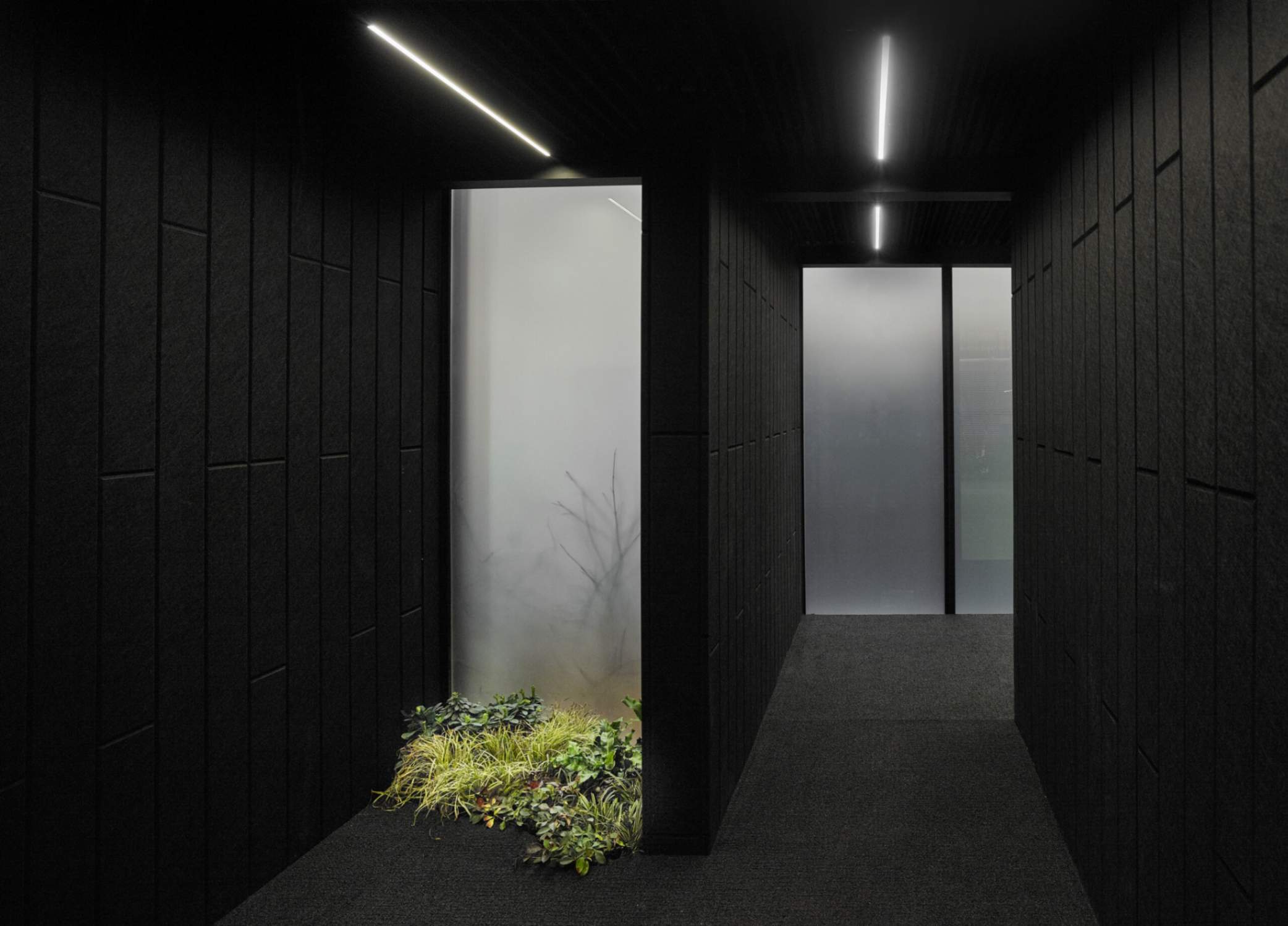 jpeg-optimizer_2_Reset Home