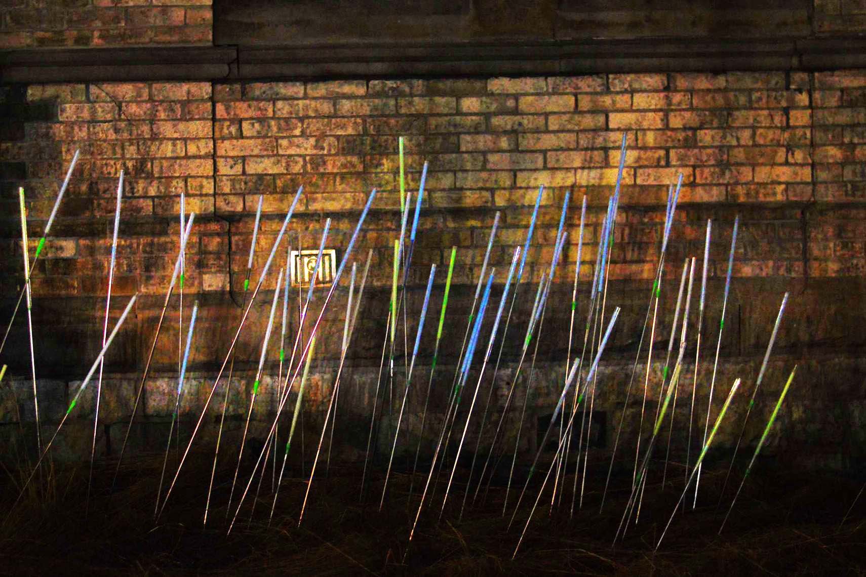 jpeg-optimizer_3_Inflorescence copy