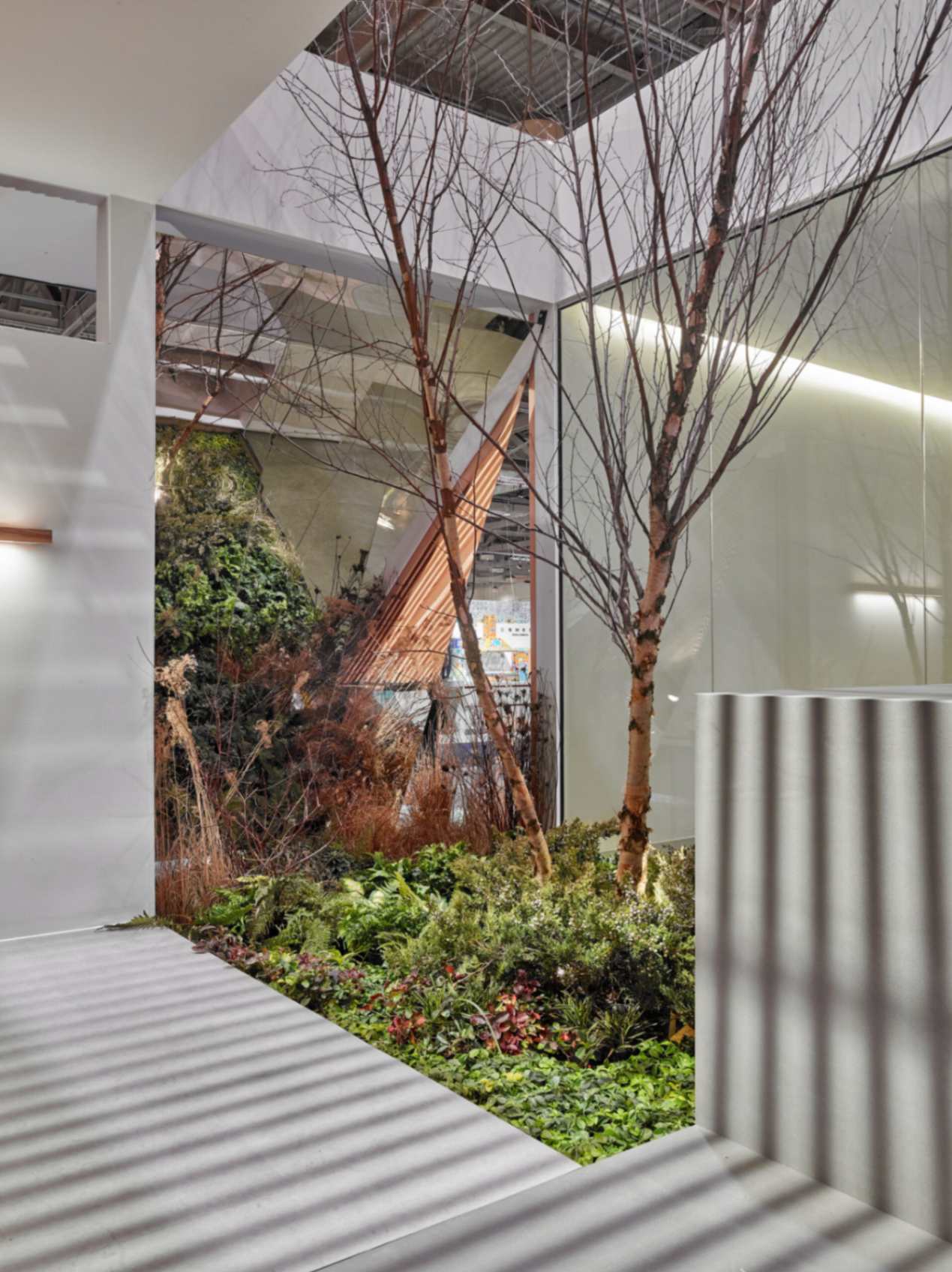 jpeg-optimizer_3_Reset Home