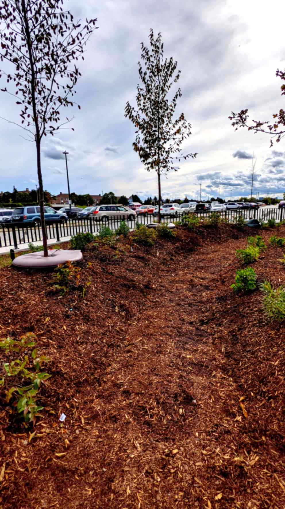 jpeg-optimizer_PXL_20210915_200646807