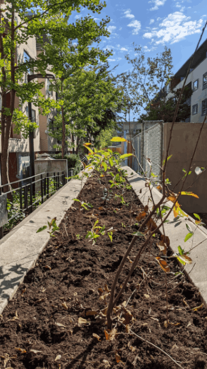 jpeg-optimizer_Screen Shot 2024-03-13 at 10.25.22 PM