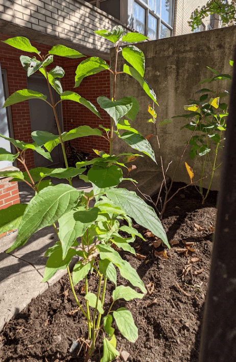 jpeg-optimizer_Screen Shot 2024-03-13 at 10.25.44 PM