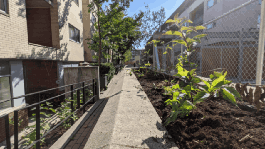 jpeg-optimizer_Screen Shot 2024-03-13 at 10.25.57 PM