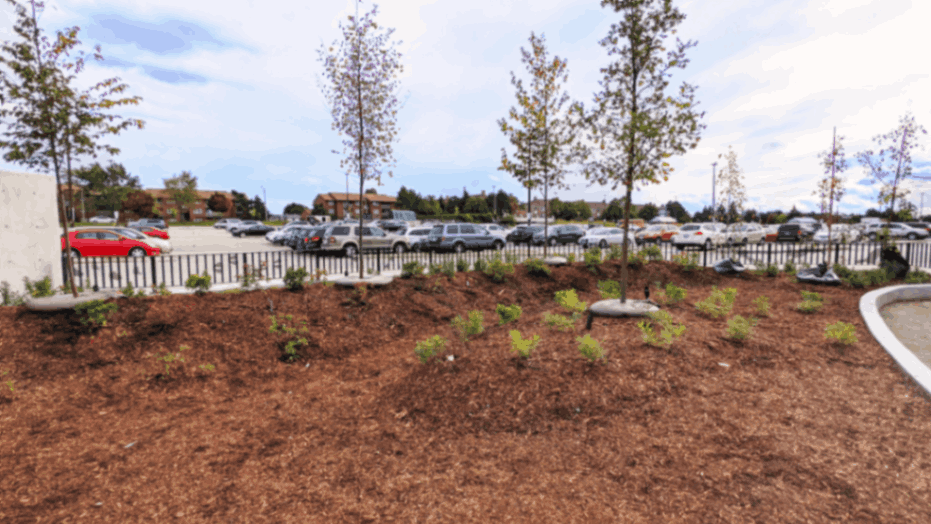 jpeg-optimizer_Screen Shot 2024-03-13 at 9.18.48 PM