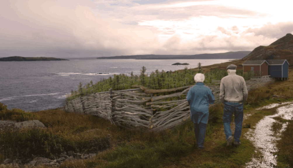 jpeg-optimizer_Screen Shot 2024-03-13 at 9.24.56 PM